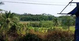 Jual cepat tanah 1 km dari gerbang tol rangkas bitung SHM