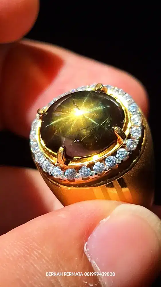 BANGSING KRESNADANA STAR 12 SAPPHORE GOLDEN