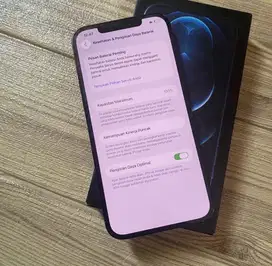 iPhone 12 Pro Max 256GB iBox Battery 100%