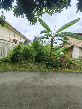 Tanah kosong kompleks GOR Purwokerto