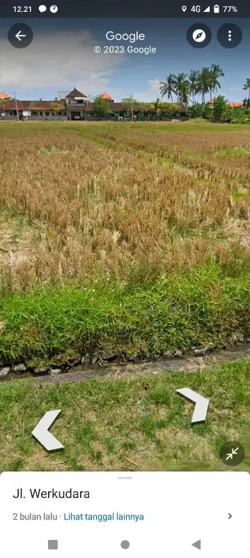 for rent land in Munggu yellow zone