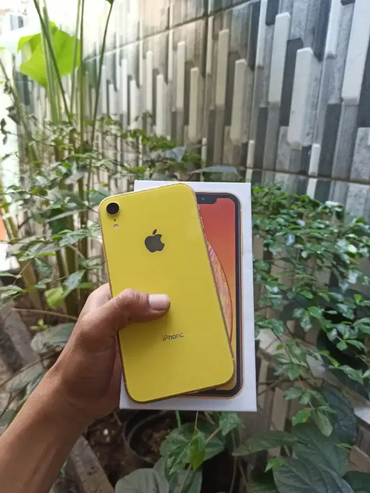 Iphone Xr 64 Gb Inter All Operator Fullset