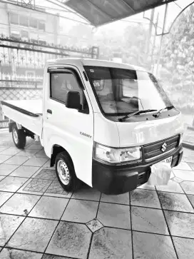 Suzuki Carry Pick Up 2023