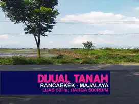 JUAL TANAH MURAH, RANCAEKEK, MAJALAYA, JATINANGOR, CILEUNYI, DANGDEUR,