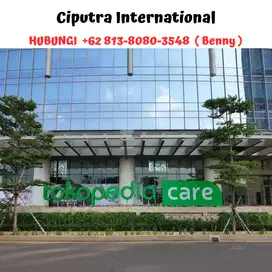 Ciputra International