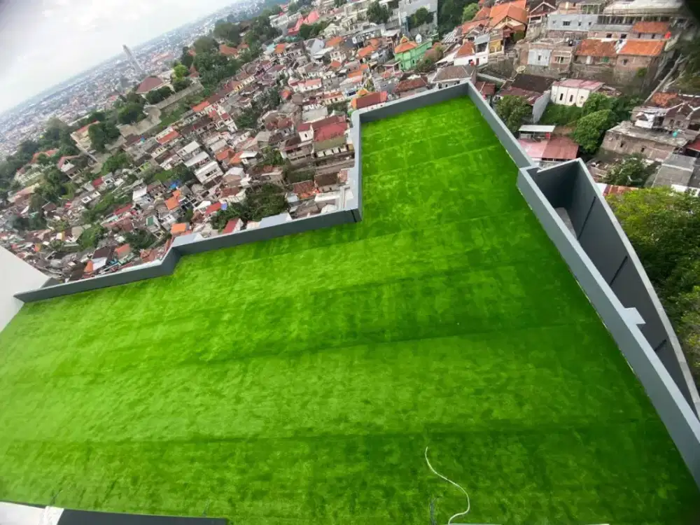 rumput Sintetis murah di bogor bisa cod