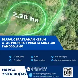 Lahan Kebun Strategis 2,28 Ha di Pandeglang Cocok untuk Investasi & Wisata
