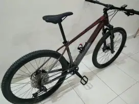 Sepeda MTB Syncline C3 Polygon