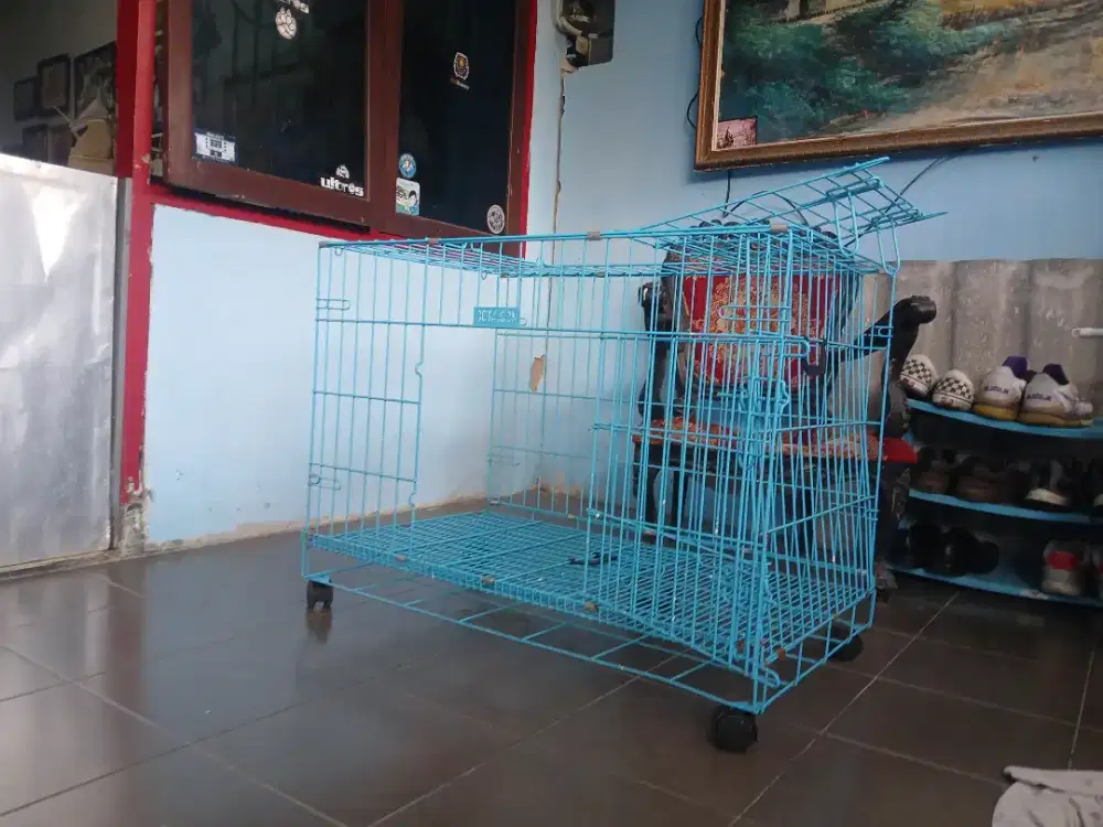 Kandang Octagon