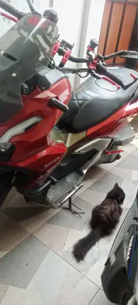 Motor adv merah 2024