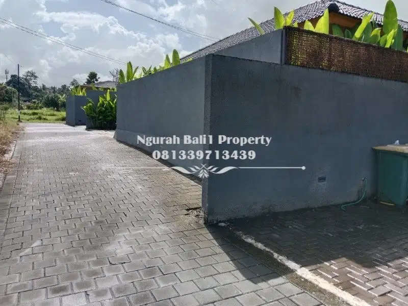 Tanah Disewakan Luas 28 Are Kawasan Villa di Sayan Ubud