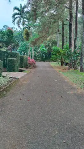 Villa Trawas Grand Wish 349m2 serius lepas. tretes