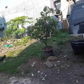 Tanah Strategis siap Bangun dekat kelurahan Pondok Ranggon Jakarta Timur