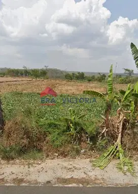 Tanah DIJUAL di Ngetos Kab Nganjuk Akses Jalan Utama Lebar