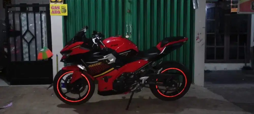 Kawasaki New Ninja250FI