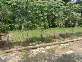tanah dijual cepat