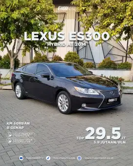 Lexus es300 Hybrid at 2014