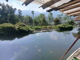 jual Tanah  Darat