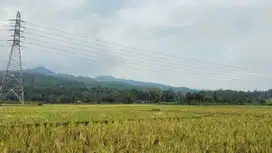 Tanah dan Sawah pinggir jalan Carita, Pandeglang, Banten
