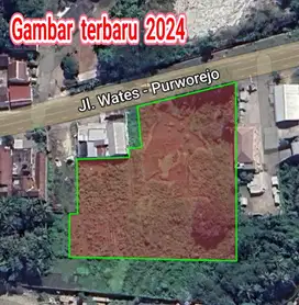 Rare Opportunity! Tanah Luas 5.800 m², di Purworejo SHM Ready