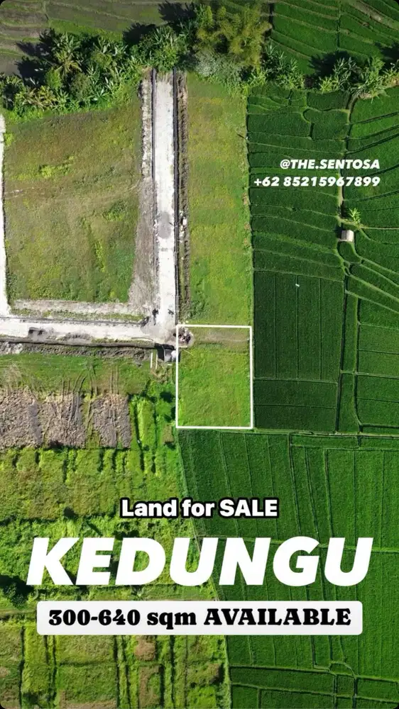 KEDUNGU LAND FOR SALE NEAR NUANU LUNA BEACH CLUB