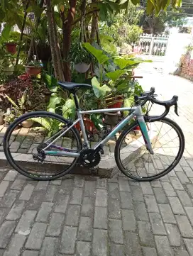 Sepeda balap Polygon Stratos S5