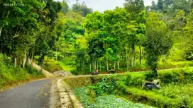 Tanah Murah 1000 m2 Lingkungan Tenang&Asri Tawangmangu