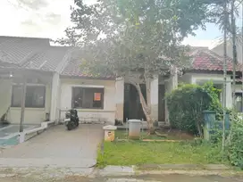 Sewa rumah murah 2 kamar Sutera Delima, Alam Sutera