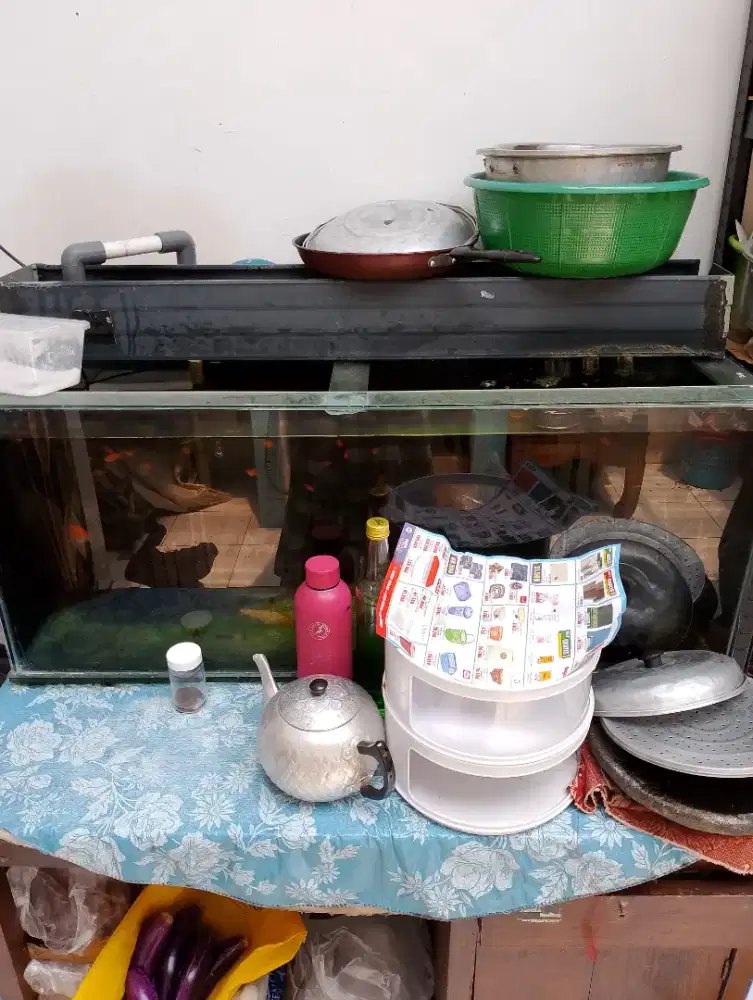 Paket lengkap 2 aquarium