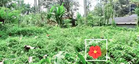 peluang emas tanah strategis 20 menit dari ubud kota .link vila