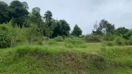 Tanah Impian di Lembang, Cocok untuk Bisnis & Hunian Villa