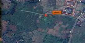 Dijual Tanah SHM Strategis di Babakan Raden Cariu Bogor 4.5 Ha