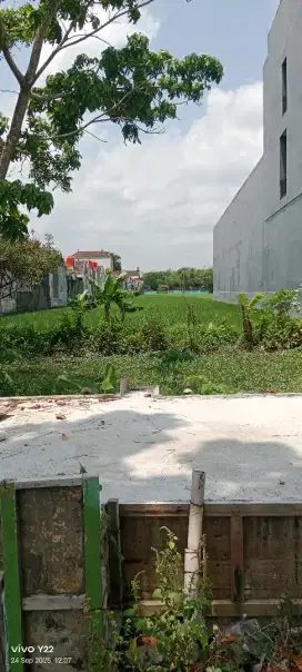 Disewakan sawah shm milik pribadi, jalur kuning, pergudangan imogiri