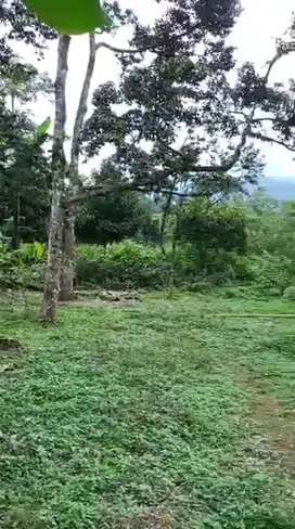 Dijual Cepat! Strategis Tanah 4,5 Ha di Cijeruk, Kab. Bogor