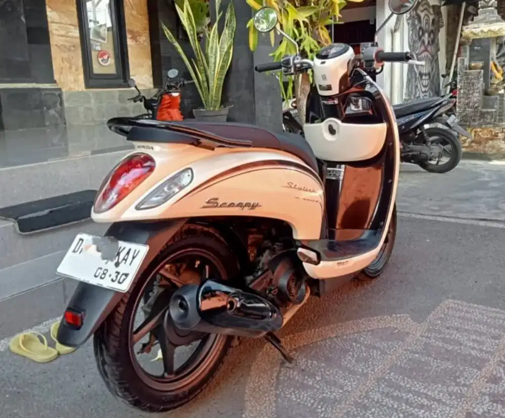 Scoopy Esp 2015