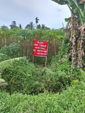 DIJUAL TANAH DI KERIAHEN TANI