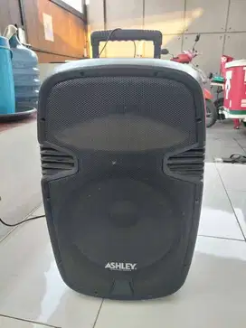 Speaker Ashley PA15E + Bluetooth Receiver