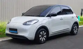 Sewa Rental Harian Mobil Bingou Ev