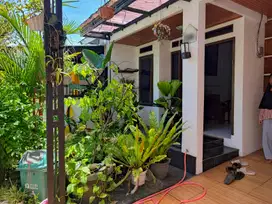 Rumah Bagus Tema Kayu Perumahan Cigalumpit Cianjur