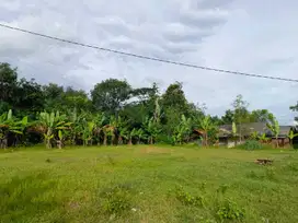 Tanah Kavling Bekasi dekat Kawasan Deltamas dan Tol Japek 2 (500rb/m2)
