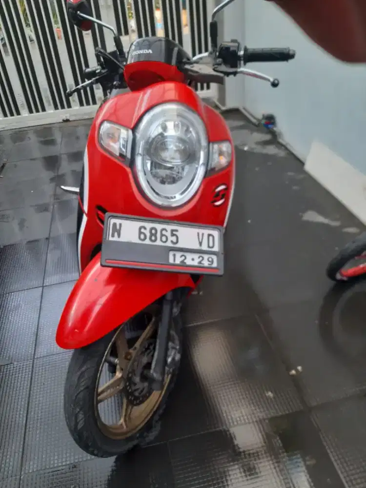 Honda Scoopy merah