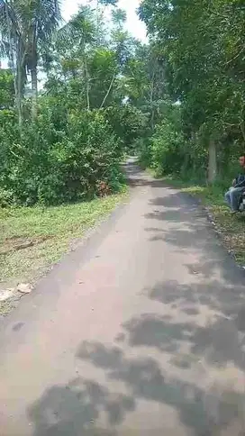 jual tanah murah LT 2ha, ajb/ girik, akses nempel jalan desa