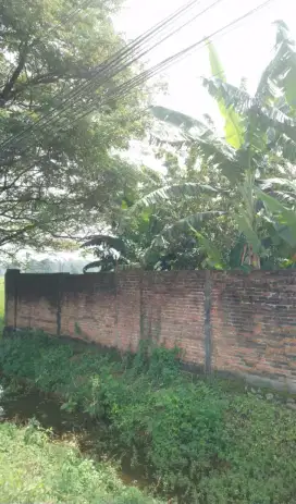 Tanah Luas dan Bertembok
