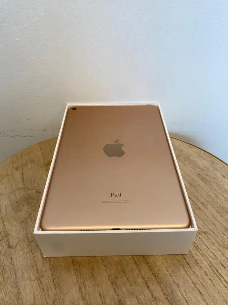 Second iPad Mini 5 64GB Gold Wifi Only Fullset