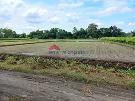 Tanah Jual di Gurah Kab Kediri 20 Menit Ke Kota Kediri