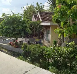 KELURAHAN MOJOREJO, KECAMATAN NGRAHO, BOJONEGORO