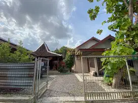 RUMAH HOMESTAY TANAH LUAS DENGAN PANDOPO DI DEPOK SLEMAN