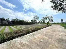 Jual Murah Tanah Pekarangan Sleman Tepi Jalan