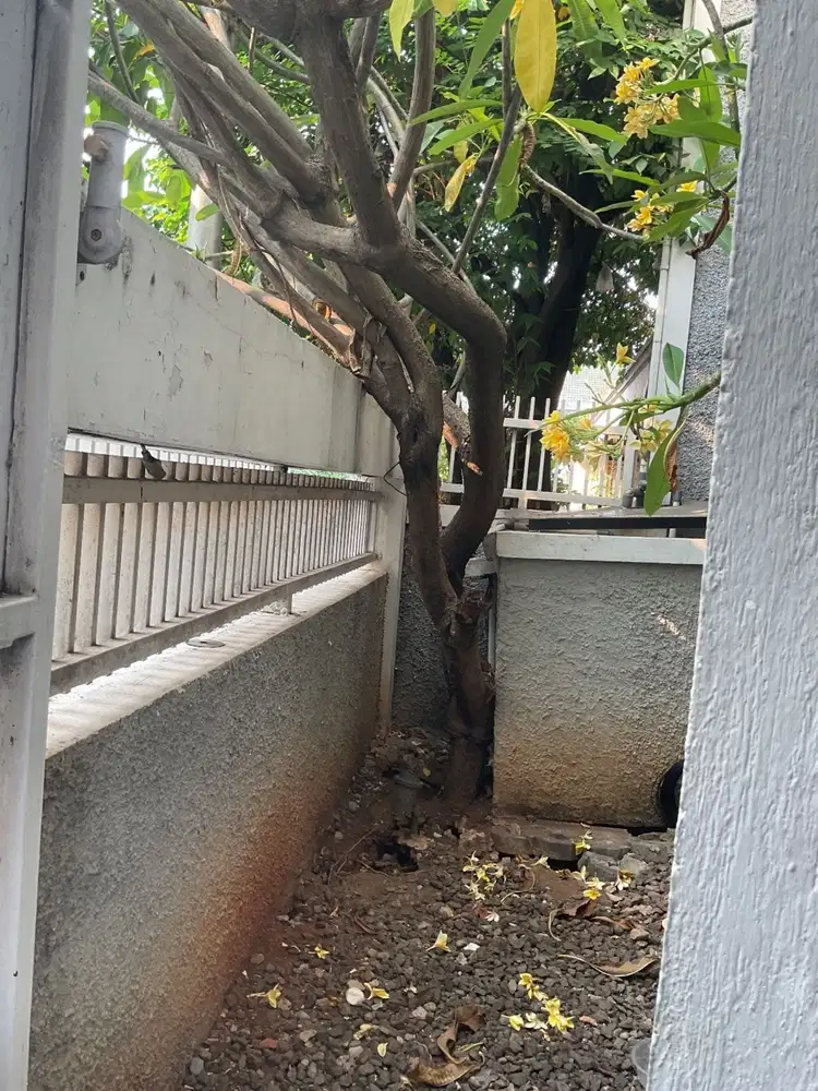 Rumah siap huni di pusat kota cempaka putih jakarta pusat