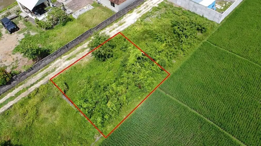 Tanah 2 Are siap bangun, Buwit Tabanan